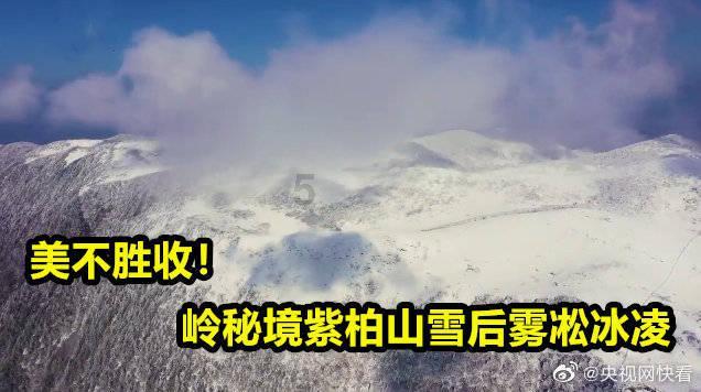 种植牙会有后遗症吗？游戏画面