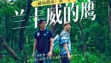 一个男生老是偷偷看你是什么意思游戏画面
