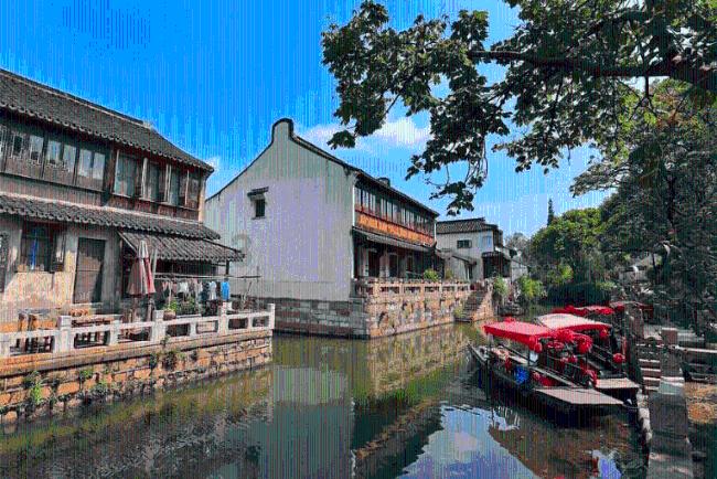 拯救红松鼠